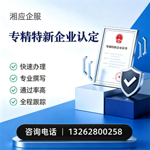 黄冈专精特新企业申报服务
