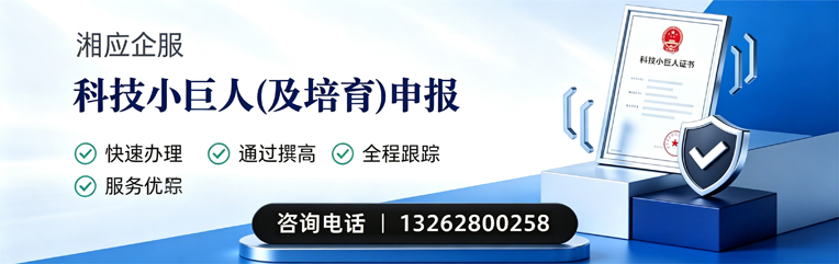 黄冈科技小巨人及培育企业申报服务