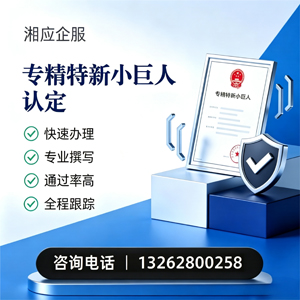 黄冈专精特新小巨人申报服务