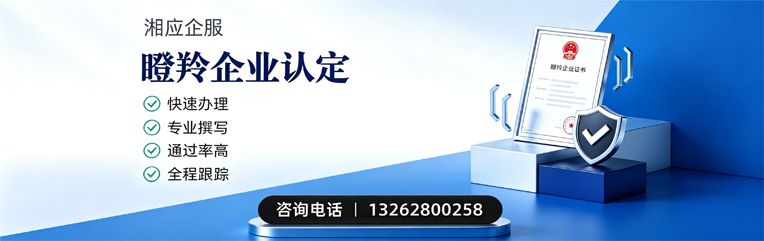 黄冈瞪羚企业认定申报服务