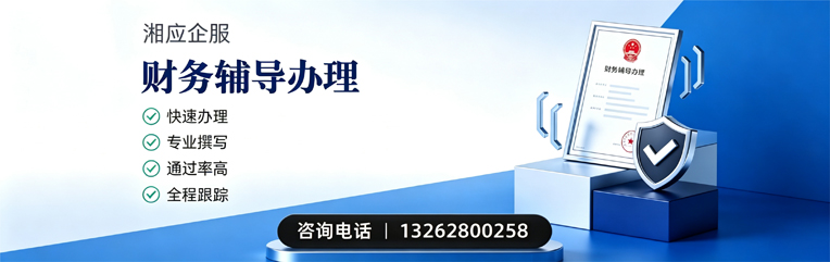 黄冈财务辅导申请服务