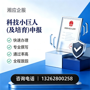 黄冈科技小巨人及培育企业申报服务
