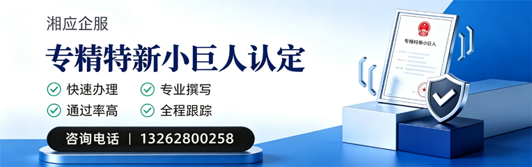 黄冈专精特新小巨人申报服务